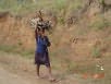 carrying firewood