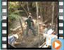 Men of Vallecillo create a dam (presa) to hold the spring water