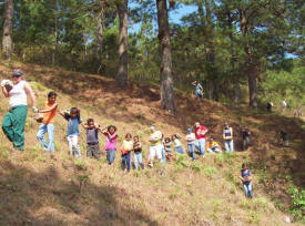 Mission Team members & Hondurans carry rocks for the dam