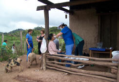 Makeshift dental clinic in Monterey